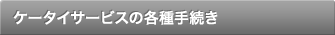 �P�[�^�C�T�[�r�X�̊e��葱��