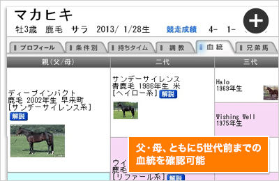 5世代までさかのぼった血統表