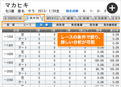 条件別成績(距離別)