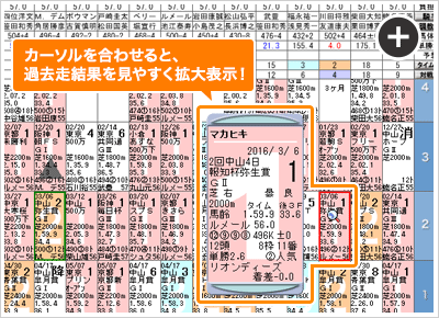 近走10走分の成績をはじめ、とってもベンリな出馬表!